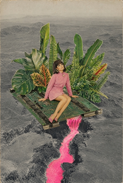 Image - ebfca571-850b-47b1-8ee3-022bf7325f66